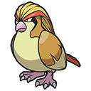 Pidgeot