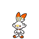 Scorbunny