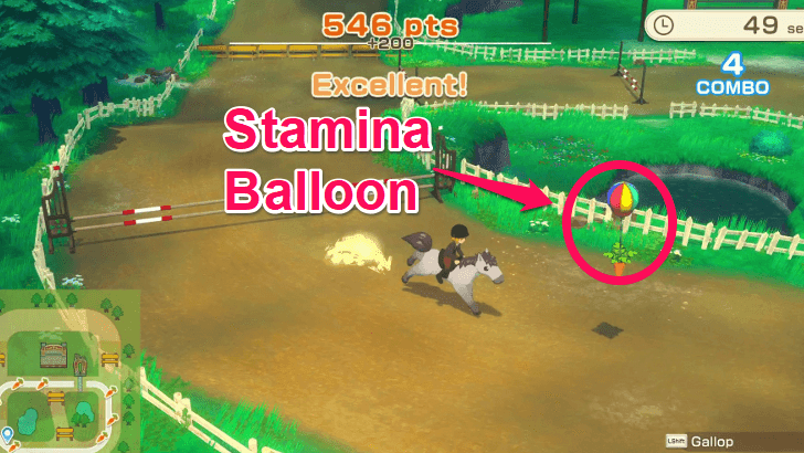 Story of Seasons Grand Bazaar - Stamina Balloon