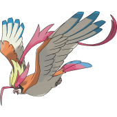 Mega Pidgeot Image