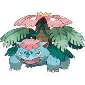 Mega Venusaur Image