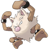 Primeape Image