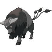 Paldean Tauros (Combat Breed)