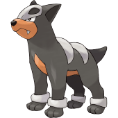Houndour Image