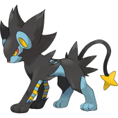 Luxray Pokemon Champions Details