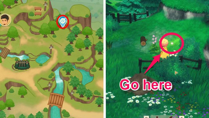 Story of Seasons Grand Bazaar - Misplaced Pen Location