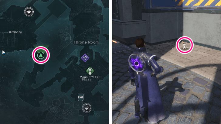 Haven Armory Cat Location