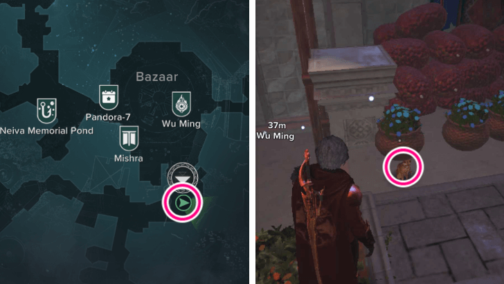 Haven Bazaar Cat Location