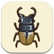 SoS Grand Bazaar - Glossy Stag Beetle