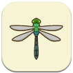 SoS Grand Bazaar - Emperor Dragonfly