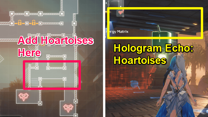 Synergy Drill Hoartoises at the Start