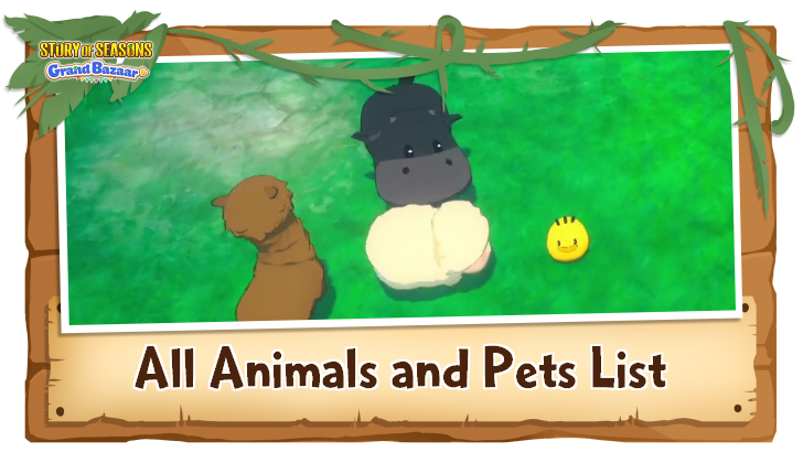 Story of Seasons Grand Bazaar - All Animals and Pets List