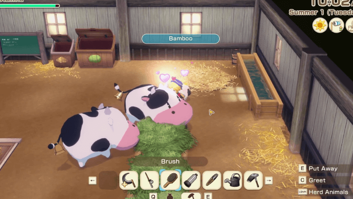 SoS Grand Bazaar - Brush and Pet