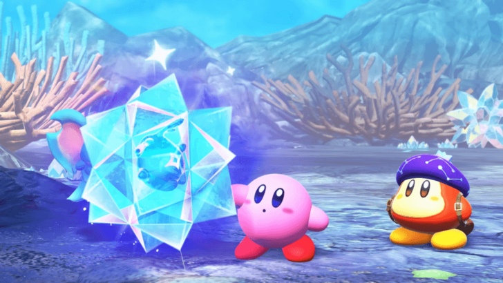 Astronomer Waddle Dee