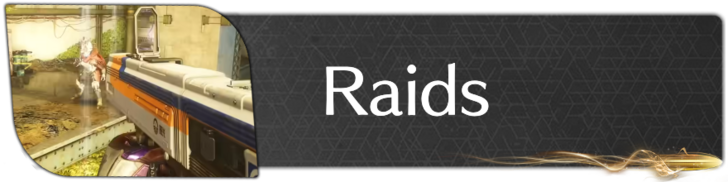 Raids Partial
