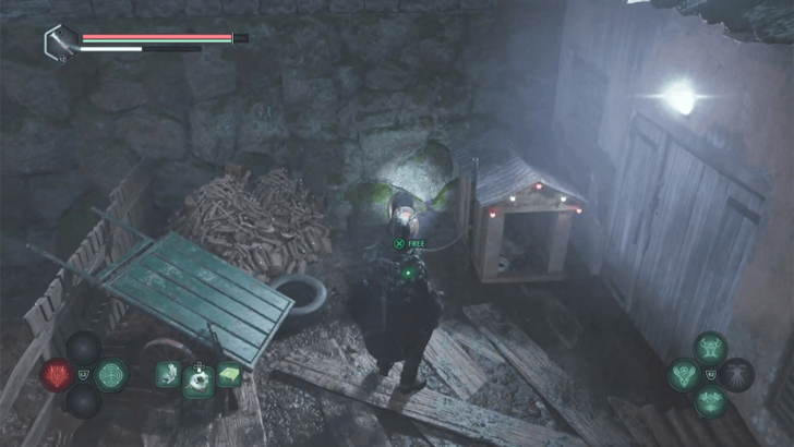 How to Get Dog Collar