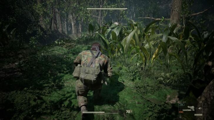 The End Hiding Among Grasses.