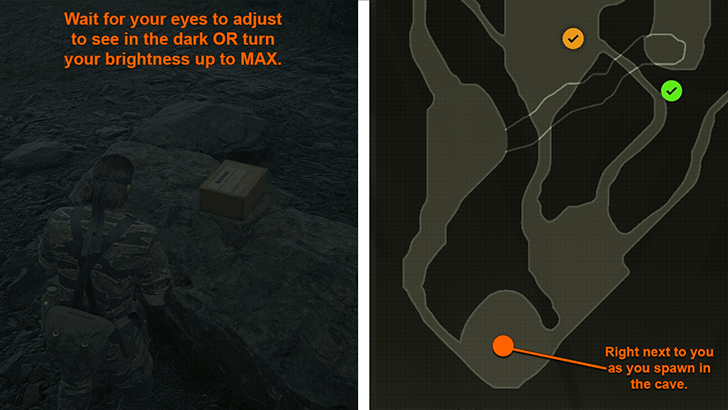 Animals Camo Location