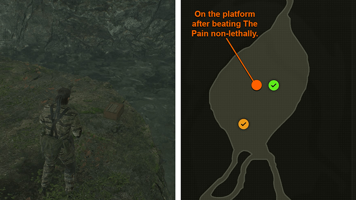 Hornet Stripe Camo Location