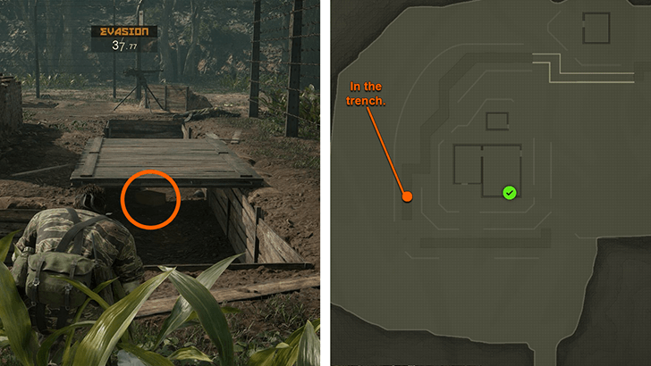 Snow Face Paint Location