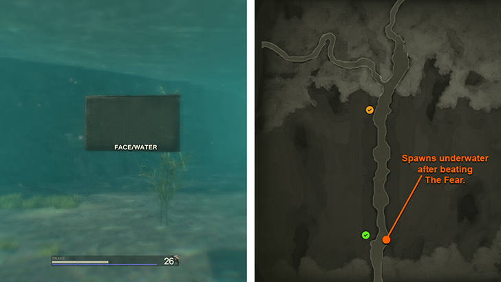Water Face Paint Location
