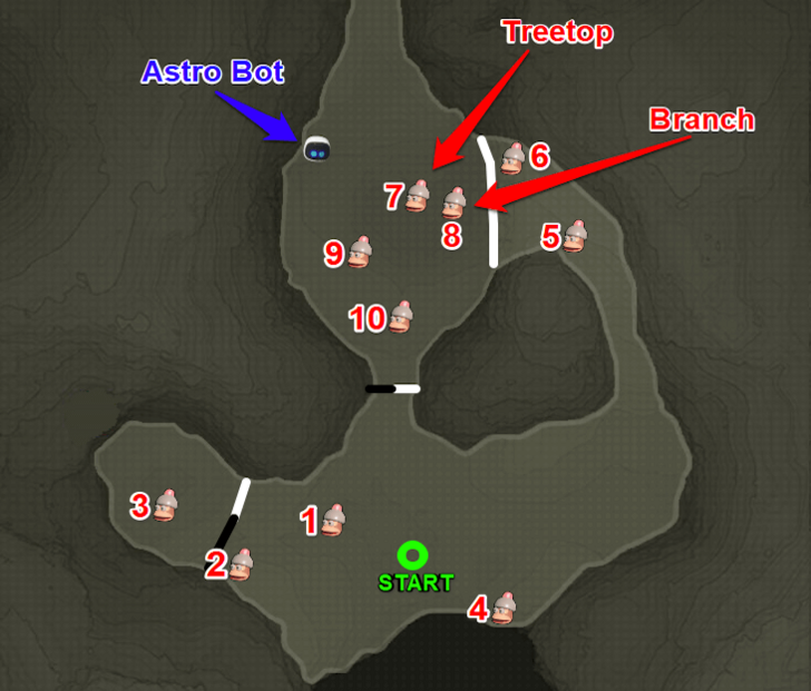 Escape From the Jungle Map