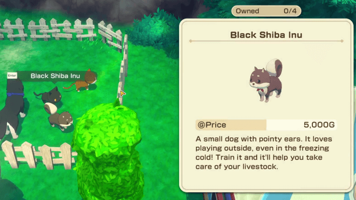 SoS Grand Bazaar - Buy Dogs and Cats From Ramon’s Critters