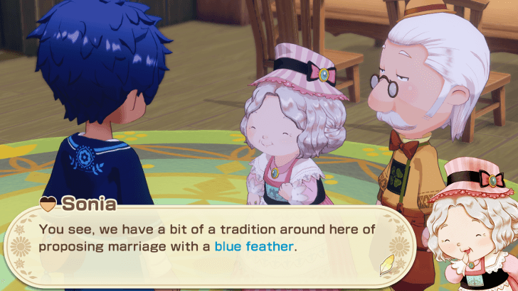 Story of Seasons Grand Bazaar - Receive Blue Feather