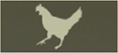 CHICKEN Icon