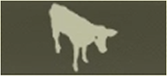 COW Icon