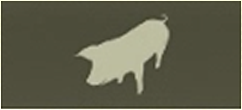 PIG Icon