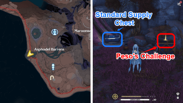 Wuthering Waves Peso