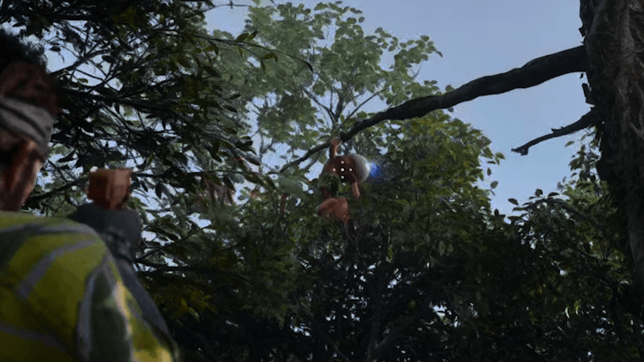 Monkey on South Area Branch