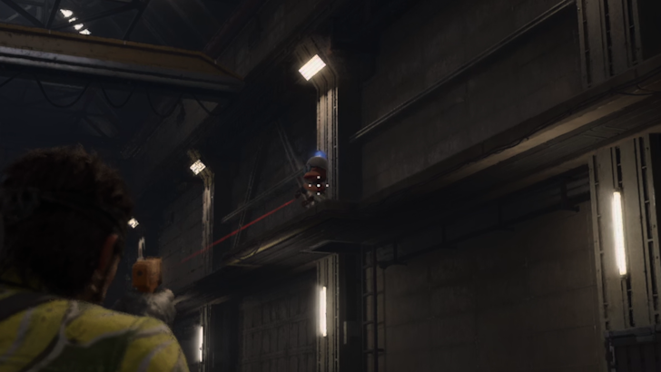 Monkey on East Ledge