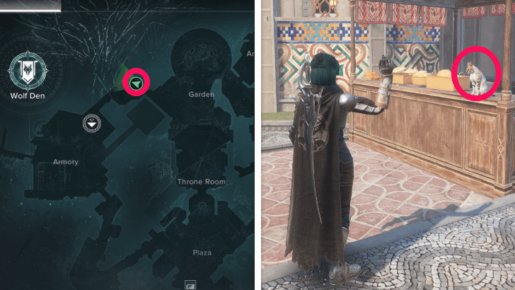 Armory and Garden Cat Location