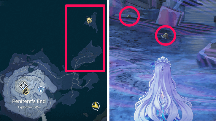 Bell Crabs at Penitent