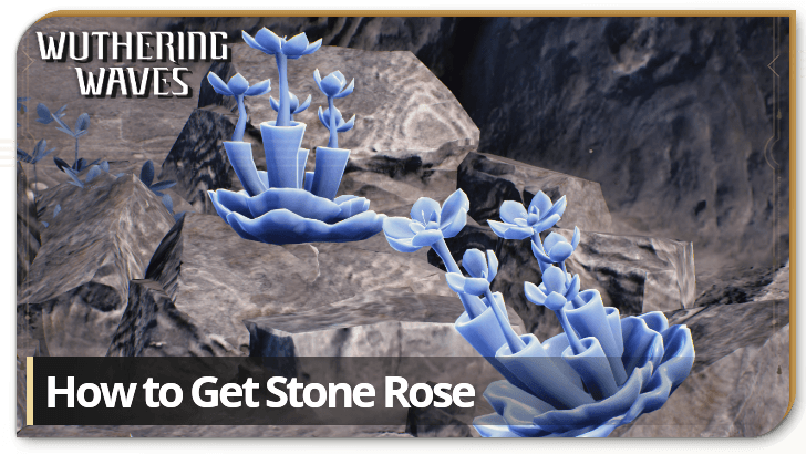 Wuthering Waves How to Get Stone Rose