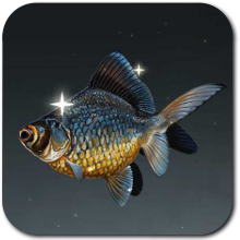 Lotus Black Goldfish