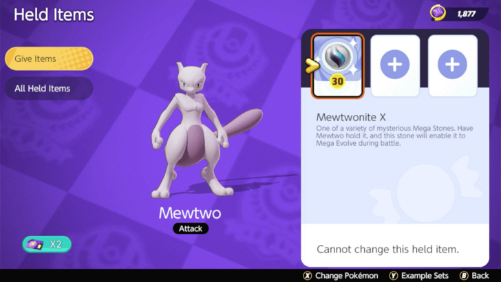 Mewtwo X Equipped with Mewtwonite X
