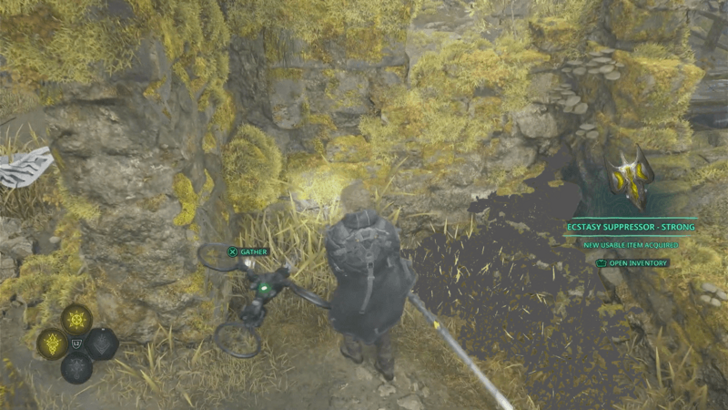 How to Get Lady Sophia