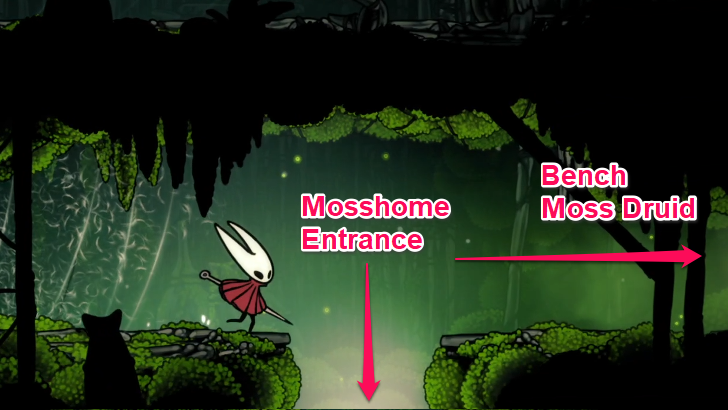 Path Blocked by Silk