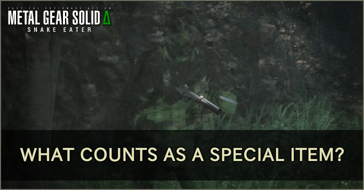 What Counts as a Special Item?
