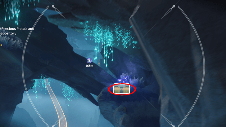 2nd Chest Echo Station