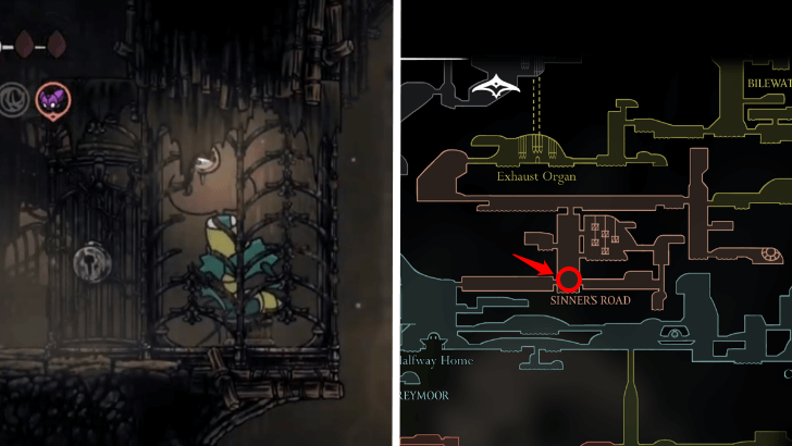 Green Prince Location