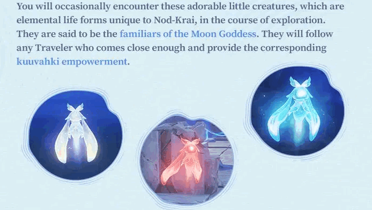 Approach Them in the Wild