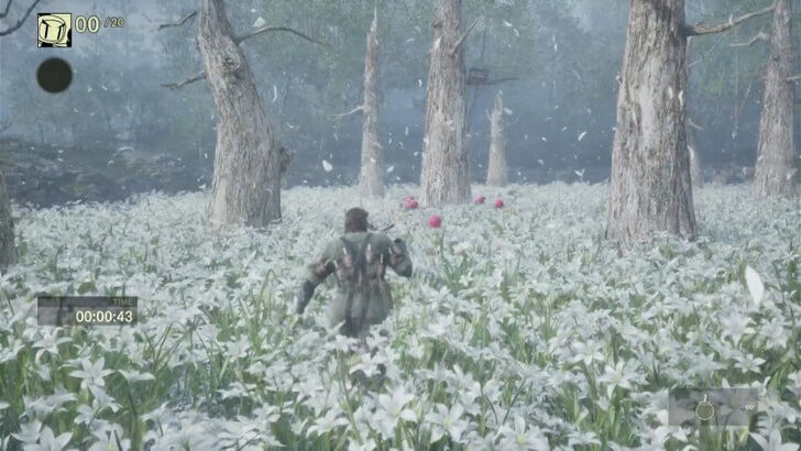 MGS Delta Remake White Flower Field
