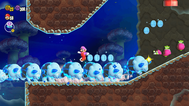 Mario Wonder - Blue Coin Description