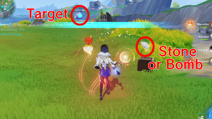 Genshin - Complete Vaino