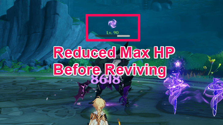 Grief-Stricken State Gray HP Bar