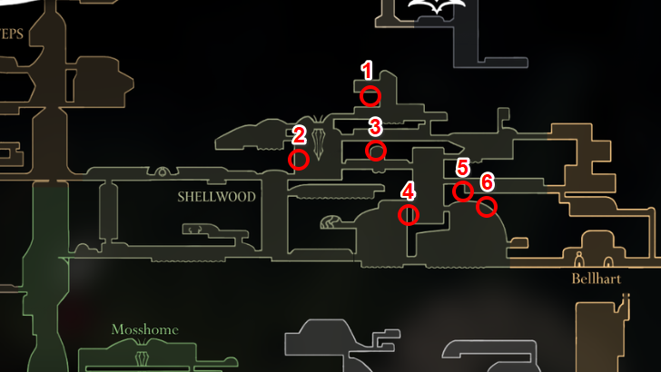 Shellwood Pollip Heart